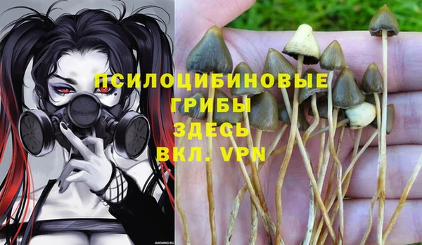 гидропоника Елизово