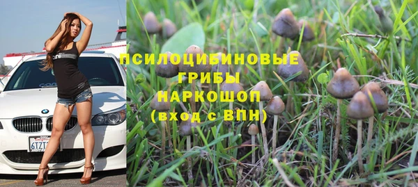 МДПВ Елабуга