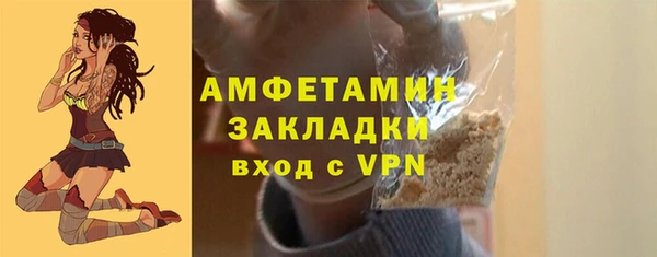 PSILOCYBIN Ельня