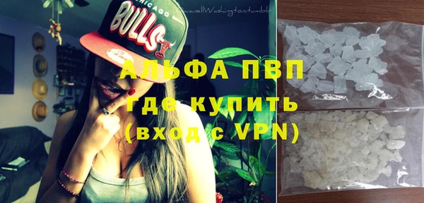 PSILOCYBIN Ельня