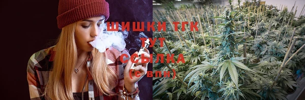 МДПВ Елабуга