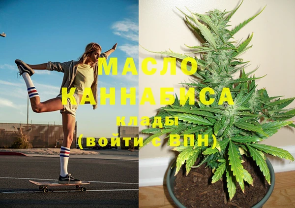 PSILOCYBIN Ельня