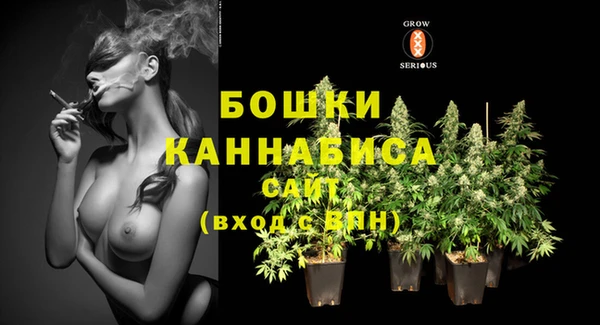 МДПВ Елабуга