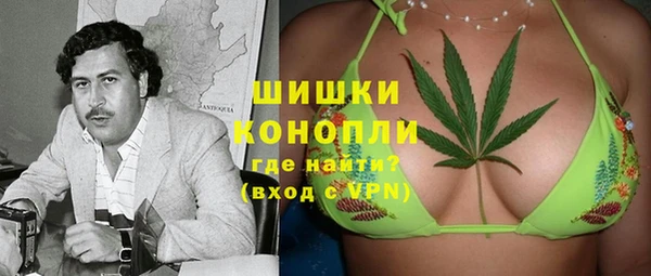 PSILOCYBIN Ельня