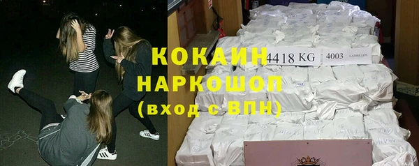 PSILOCYBIN Ельня
